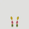 Fancy Multicolor Climbers