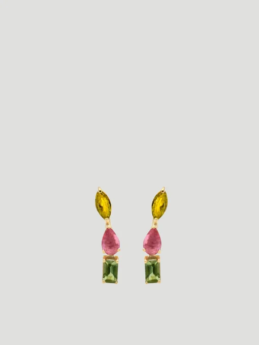 Fancy Multicolor Climbers