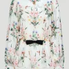 Sheer Blouse with Bow Detail